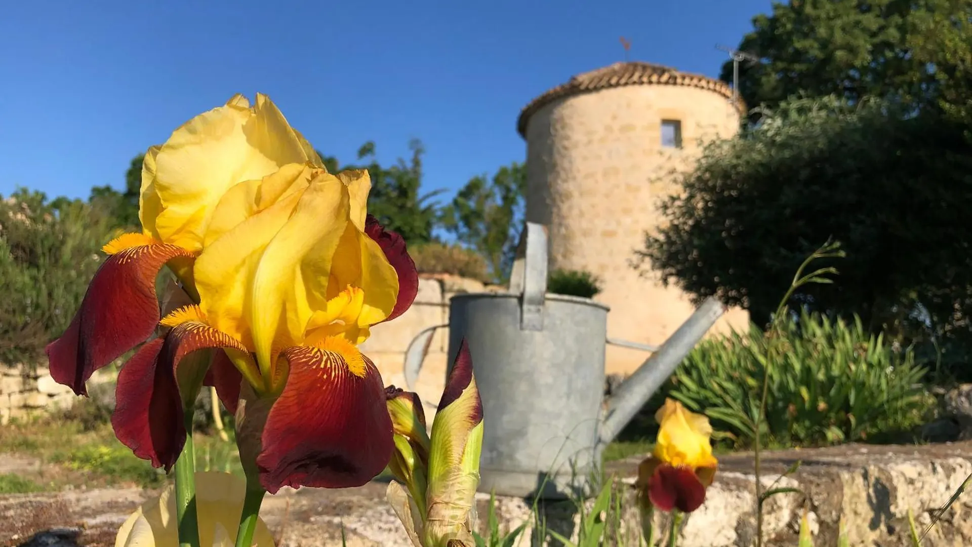 Domaine Lea Chanflaur - Spa - Le Moulin De La Jalousie Terraube Γαλλία